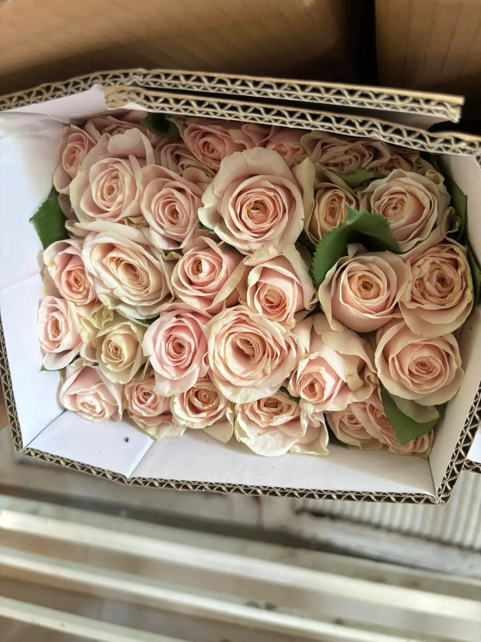 Ảnh 5 của Hộp Hoa Hoa Tươi - Valentine