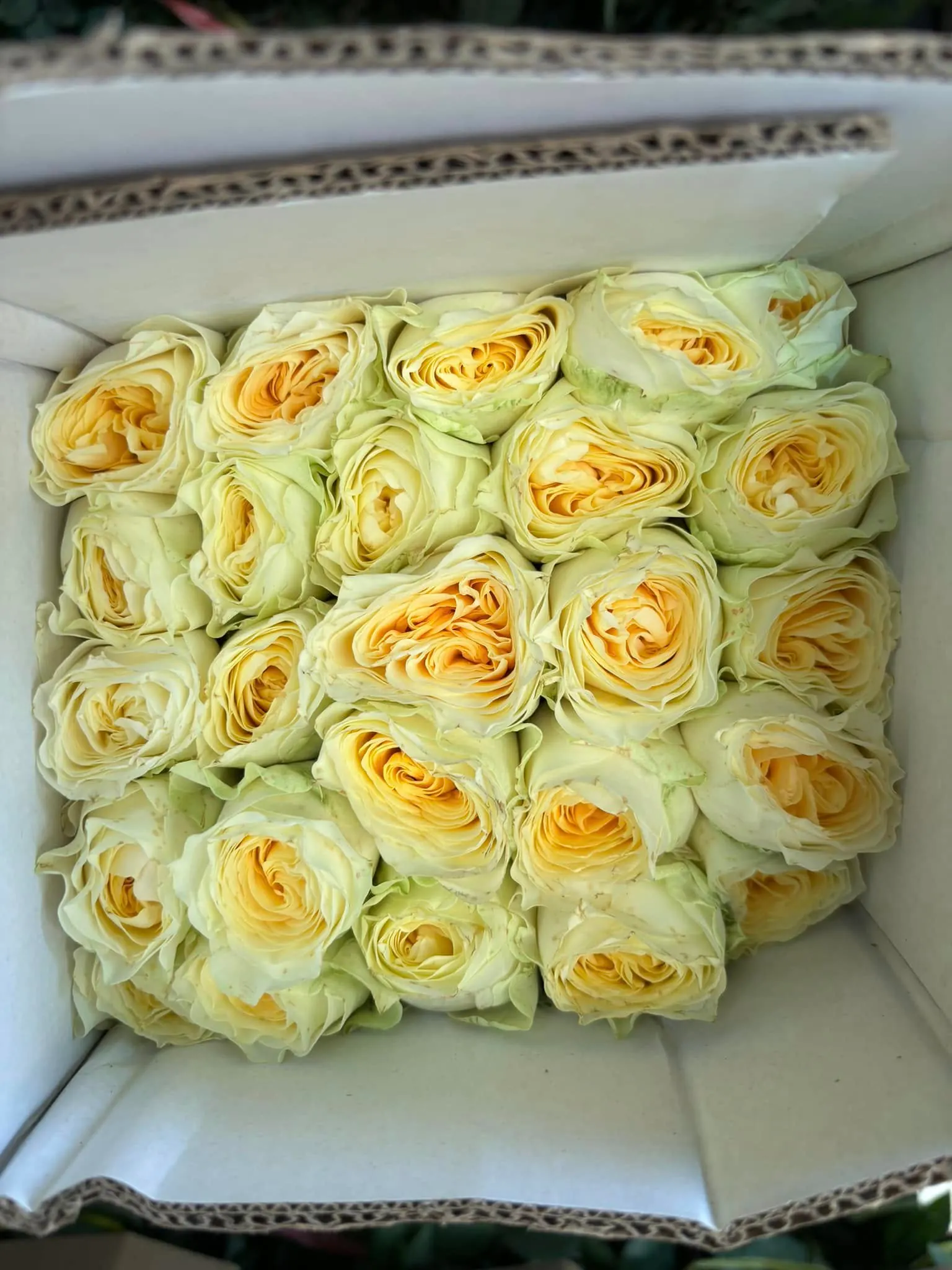Ảnh 4 của Hộp Hoa Hoa Tươi - Valentine