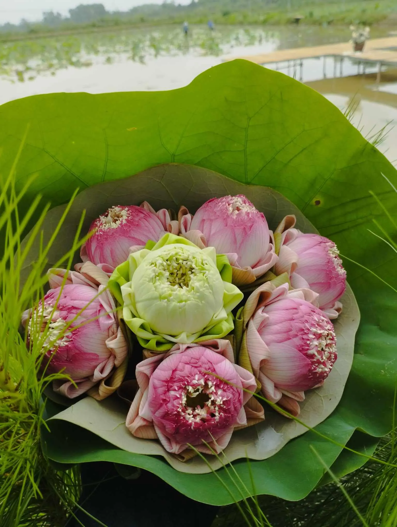 Ảnh 2 của Kệ Hoa Hồng Đỏ & Hồng & Lan - Hoa Tươi