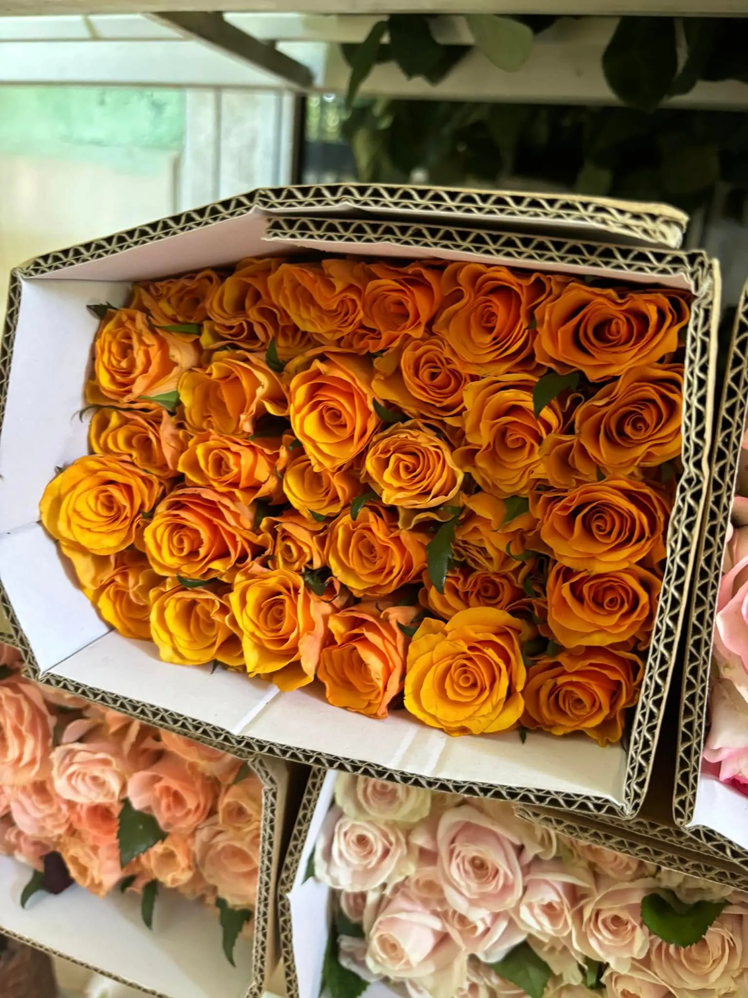 Hộp Hoa Hồng - Khai Trương