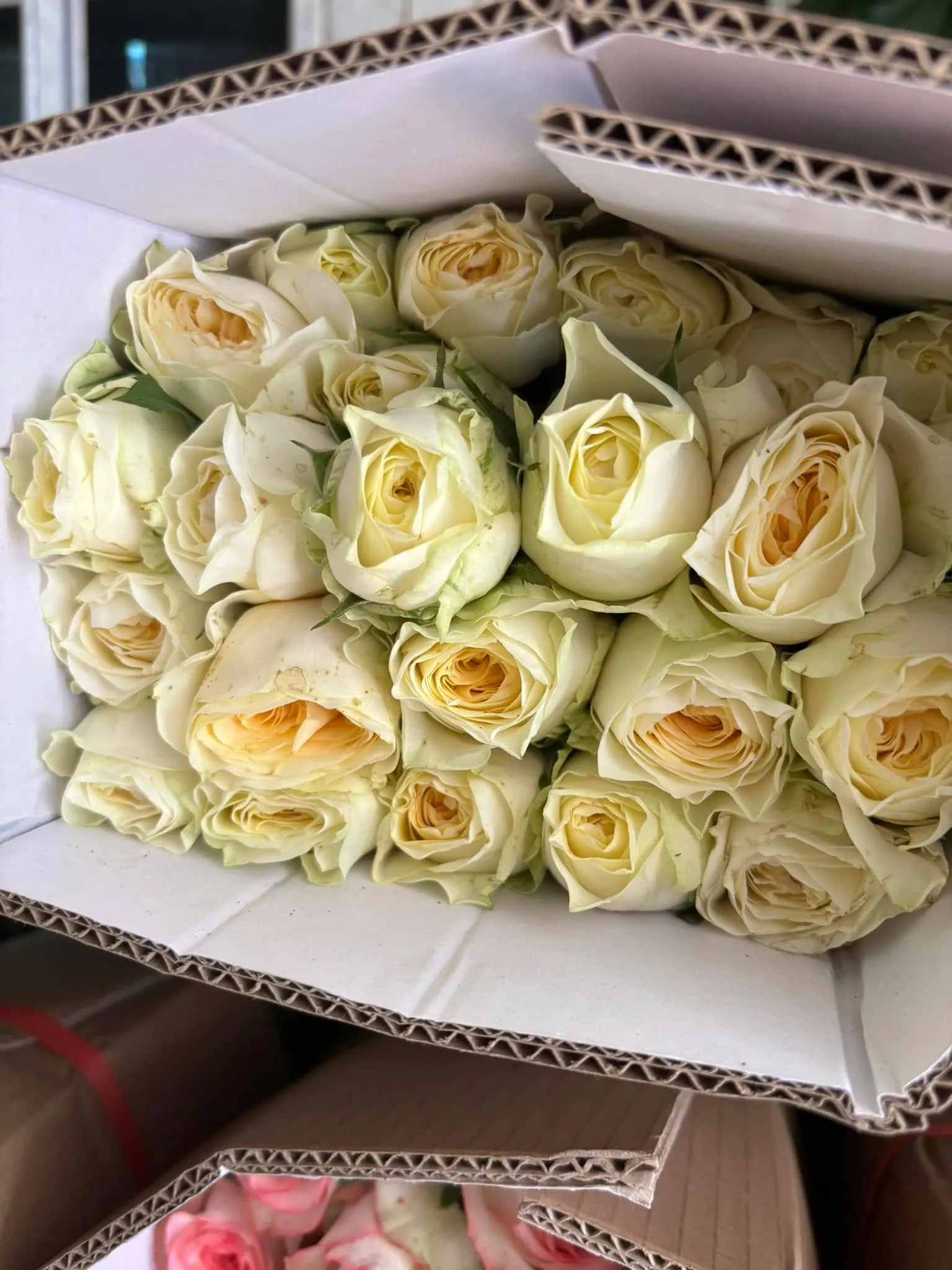 Hộp Hoa Hồng Trắng & Hồng - Cưới Hỏi