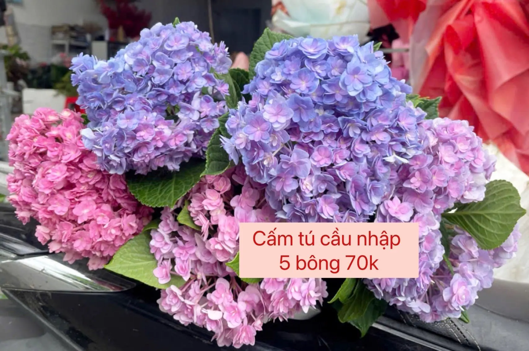 Ảnh 4 của Bó Hoa Tiên - Hoa Tươi