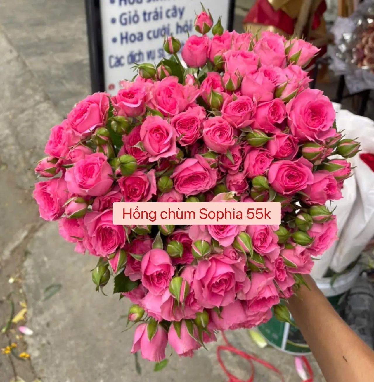 Ảnh 2 của Bó Hoa Tiên - Hoa Tươi