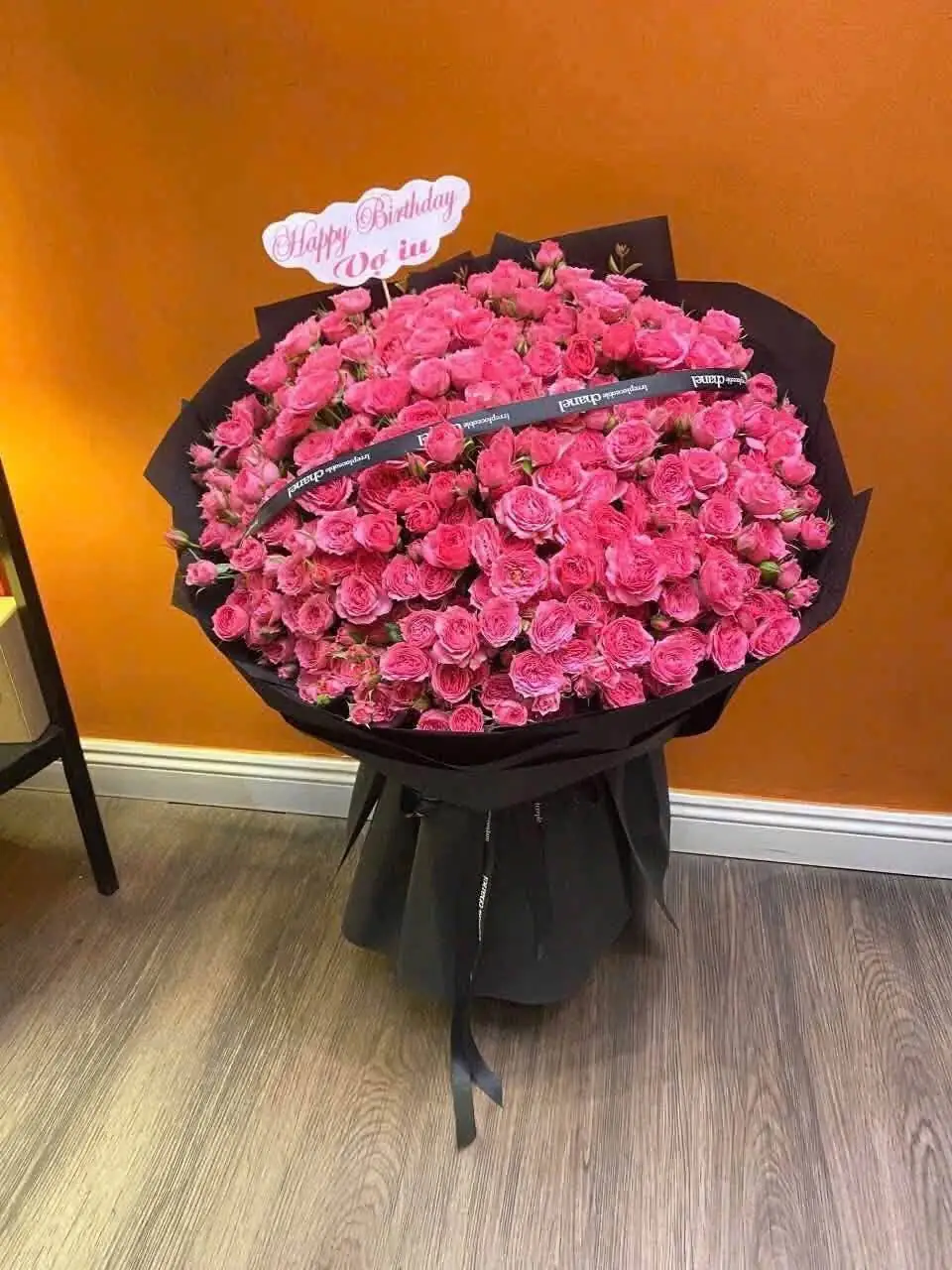 hồng nhập sofia